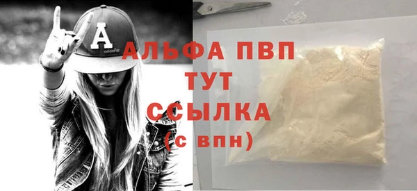 СК Новозыбков