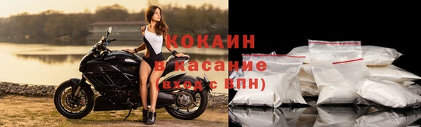 СК Новозыбков