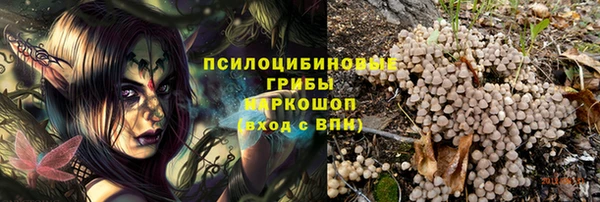 дмт Новокубанск