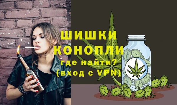 СК Новозыбков