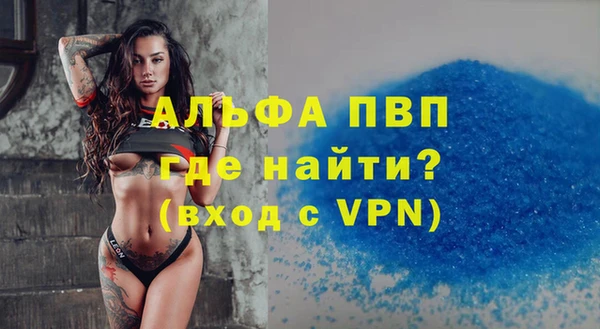 дмт Новокубанск