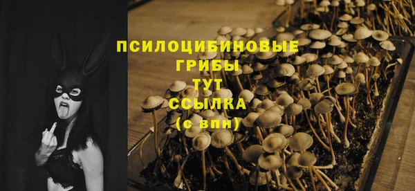 СК Новозыбков