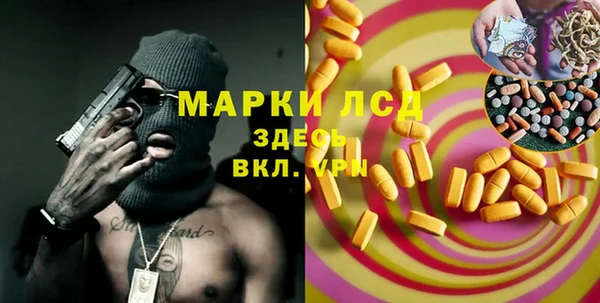 СК Новозыбков