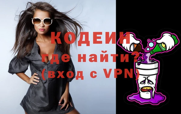 СК Новозыбков