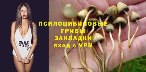 герыч Новодвинск