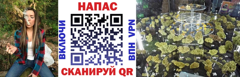 МАРИХУАНА сатива Катав-Ивановск